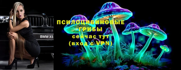 прущие крисы Арсеньев