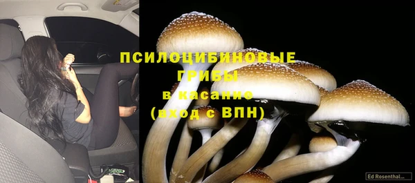 прущие крисы Арсеньев