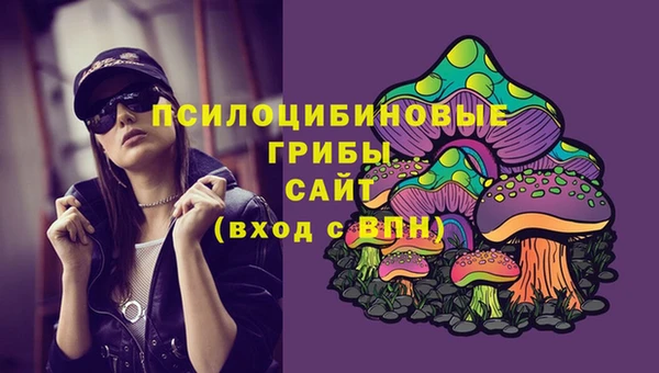 амф Аркадак