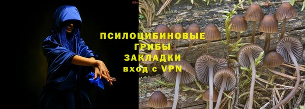 амф Аркадак