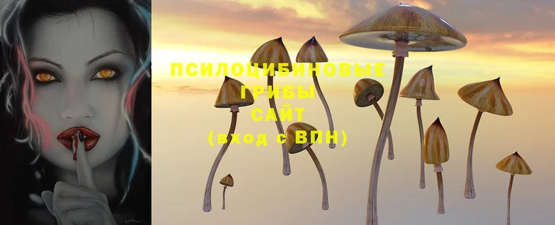 продажа наркотиков  Белинский  Псилоцибиновые грибы Magic Shrooms 