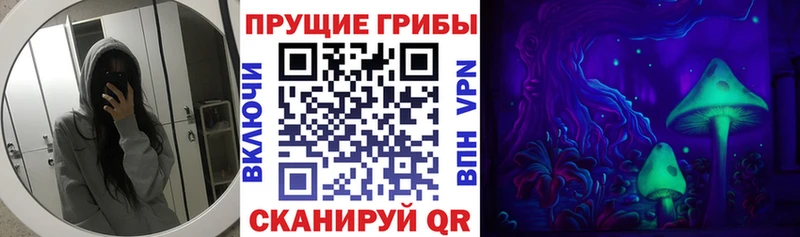 Псилоцибиновые грибы Psilocybe  Белинский 